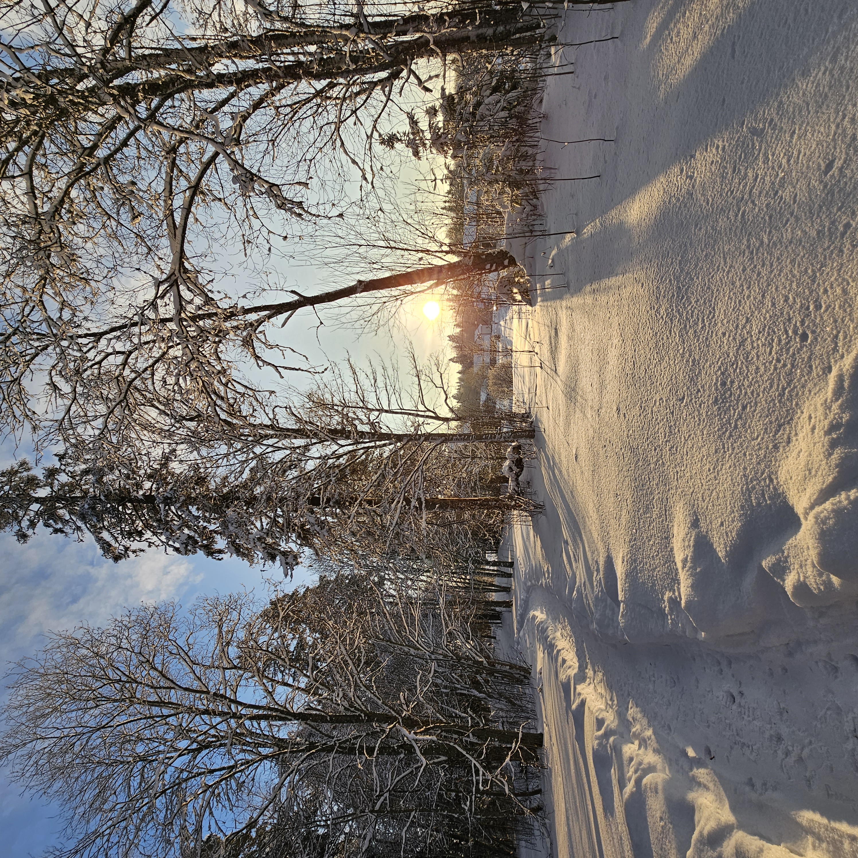 Загородная природа вокруг комплекса ИзвараПар